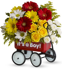 Baby's Wow Wagon  from Mona's Floral Creations, local florist in Tampa, FL